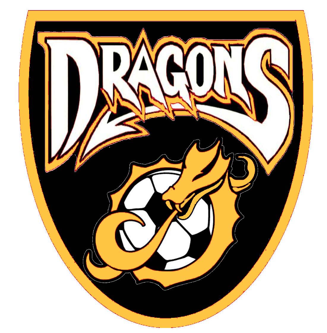 partido dragons partido dragons